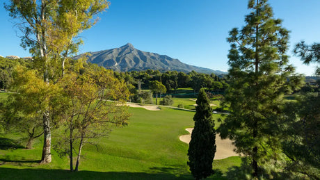Los Mejores COLEGIOS de Marbella